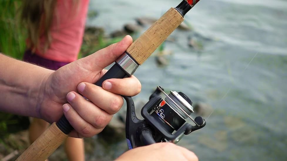 Overview Of The 5 Different Types Of Fishing Reels - International Journal  of Construction Education Research for Fishing Reels and Rods